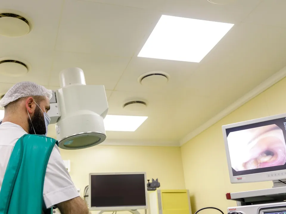 Фото: Наталья Лымарь