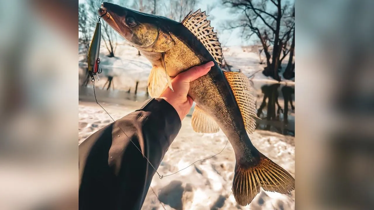 vk.com/Анастасия Бирюкова