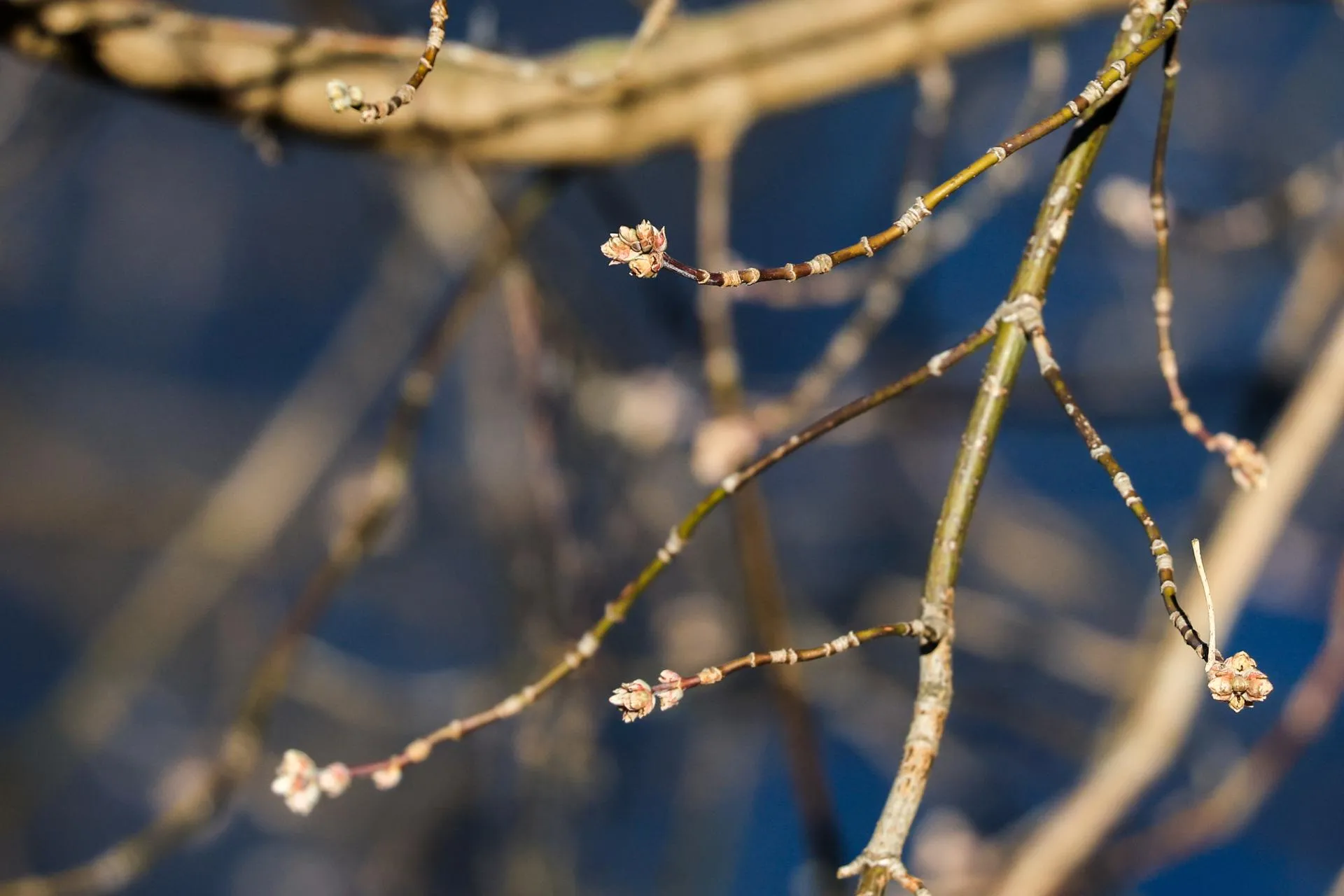 Shatokhina Natalia/news.ru