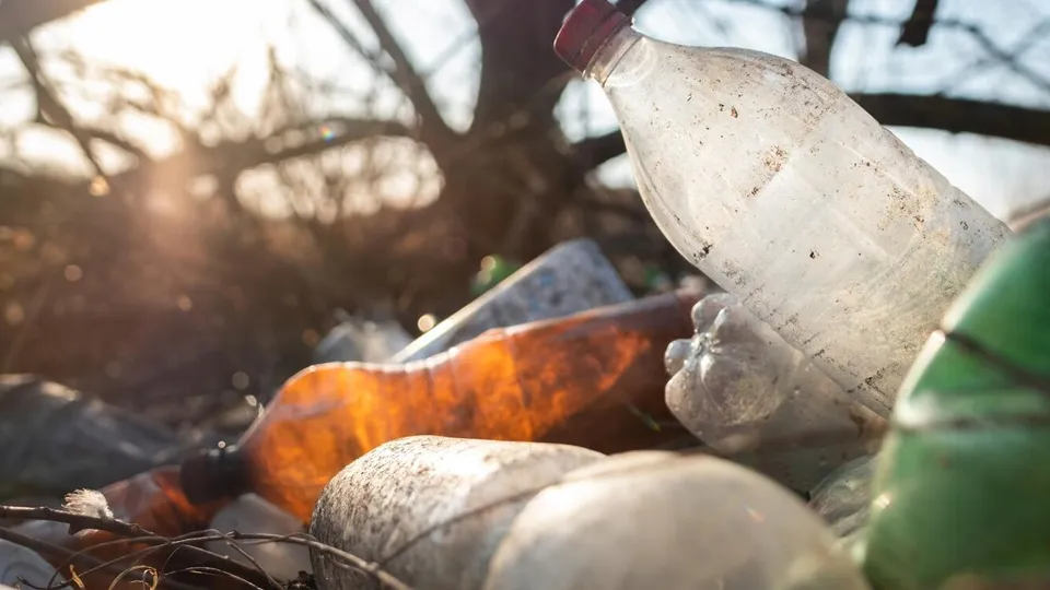 Фото: freepik.com