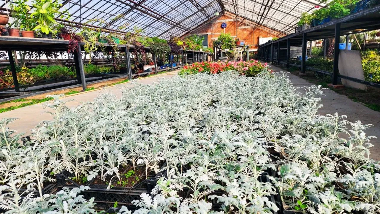 REGIONS/Мария Панина