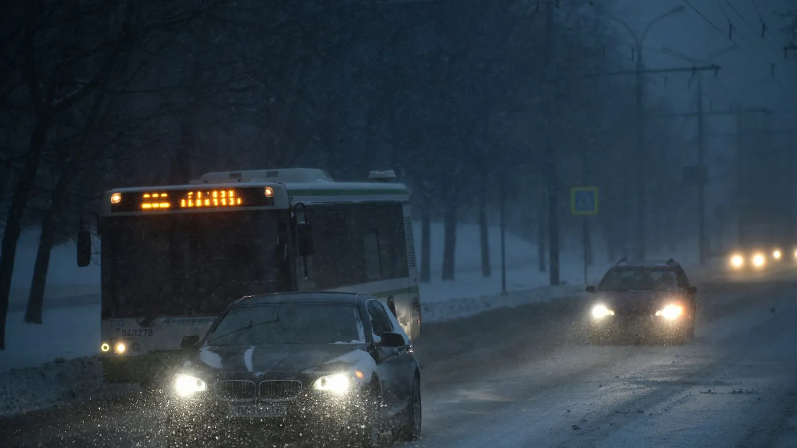 Фото: медиасток.рф
