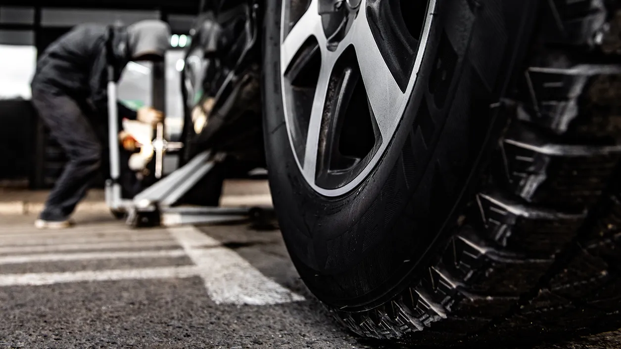 Фото: ТАСС/URA.RU/Анна Майорова