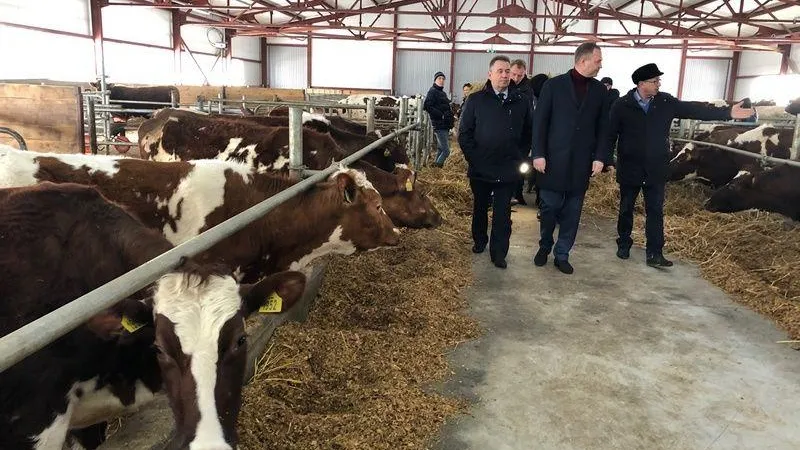 Новая товарно-молочная ферма открылась в Зарайске
