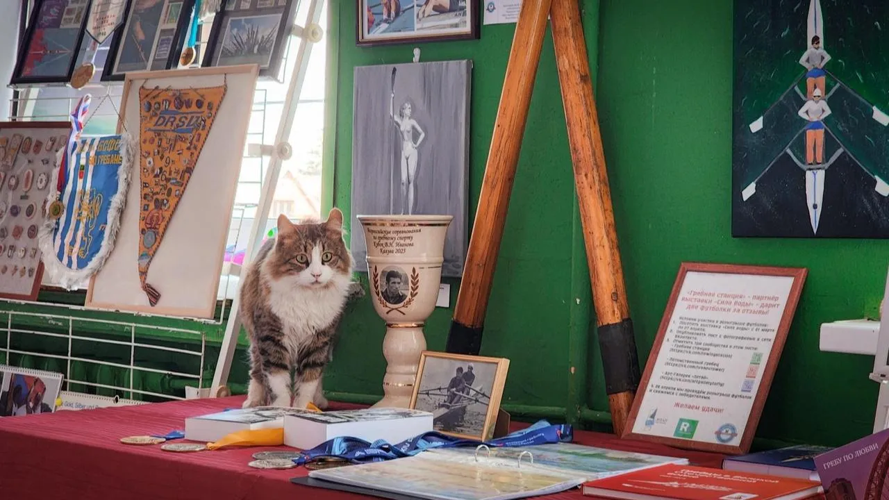 МедиаБанк Подмосковья/Ольга Антонова