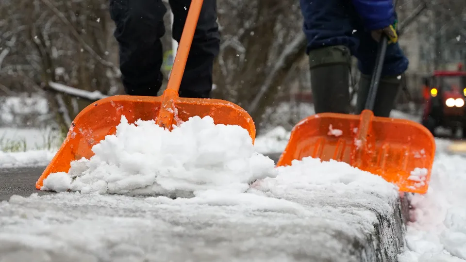 Фото: МедиаБанк Подмосковья/Иван Чижов
