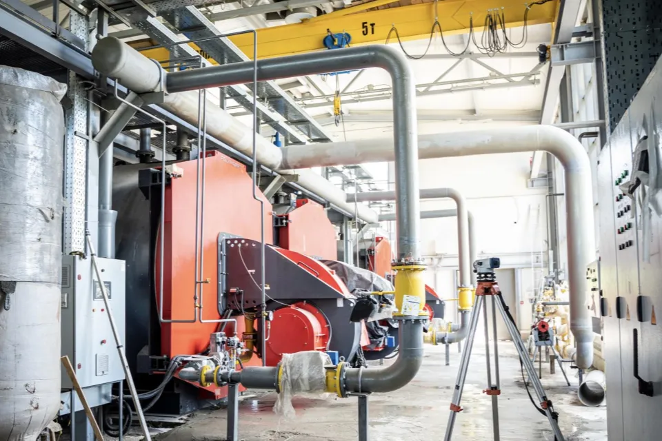 Фото: пресс-служба Администрации г. о. Домодедово