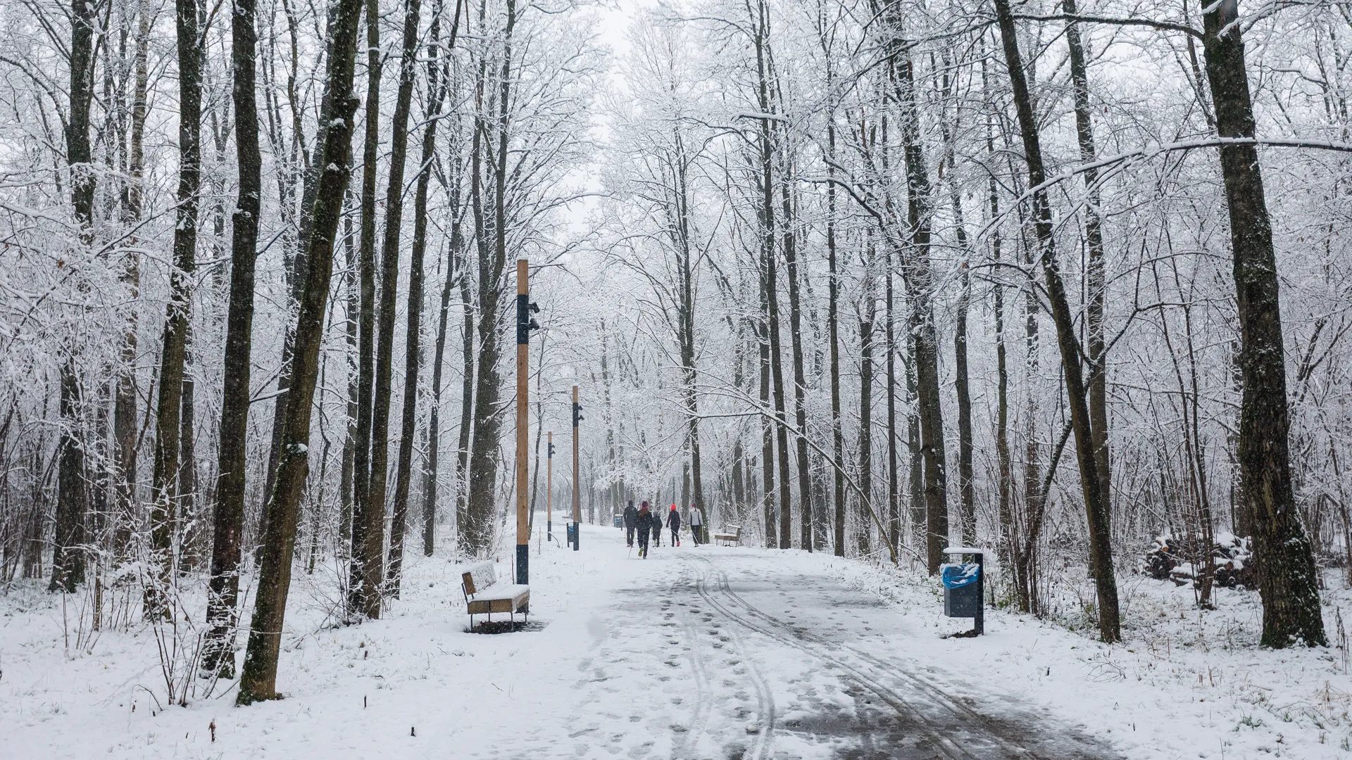 Названы города Подмосковья, в которых зафиксирован самый «высокий» снежный покров