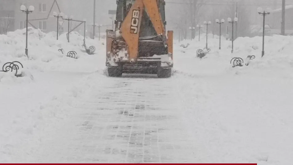 фото: Виктория Гордеева