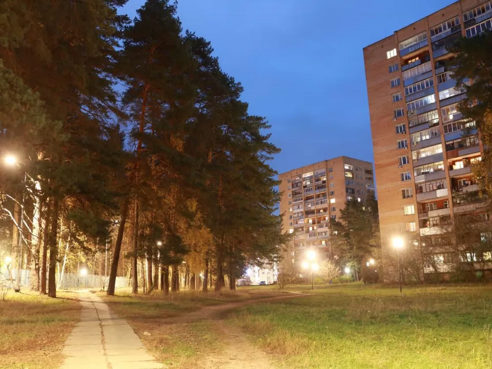 Фото: Министерство благоустройства Московской области