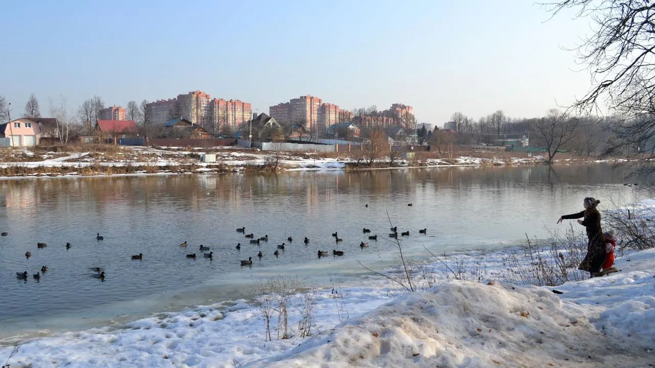 медиасток.рф