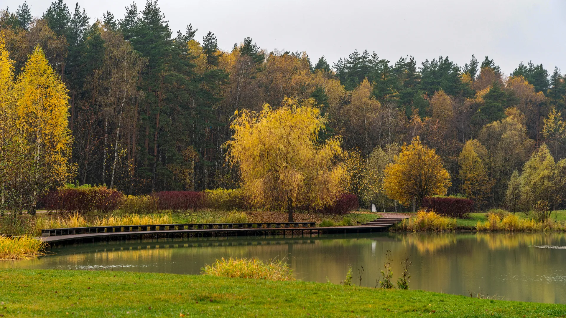 Мещерский парк осенью 2025