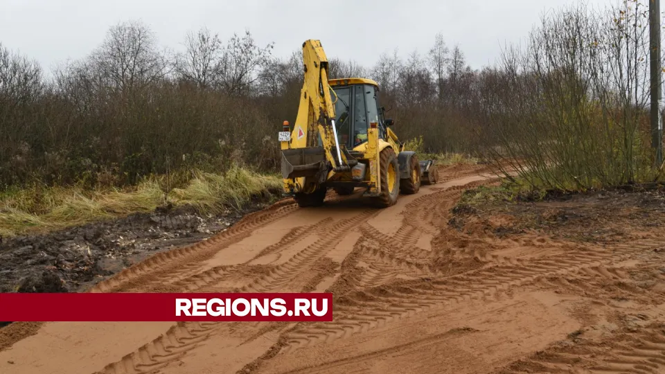 Фото: Владимир Останин
