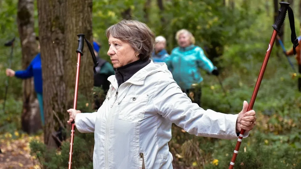 Фото: пресс-служба администрации г.о. Химки