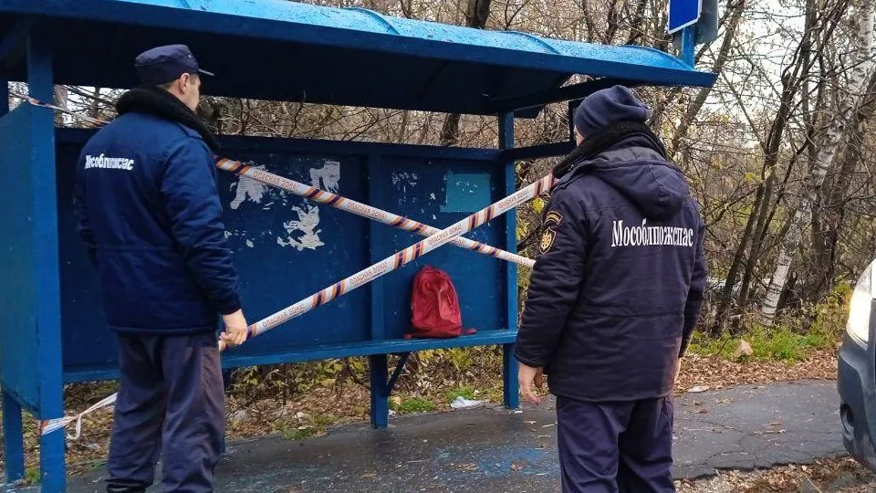 Фото: ГКУ МО «Мособлпожспас»