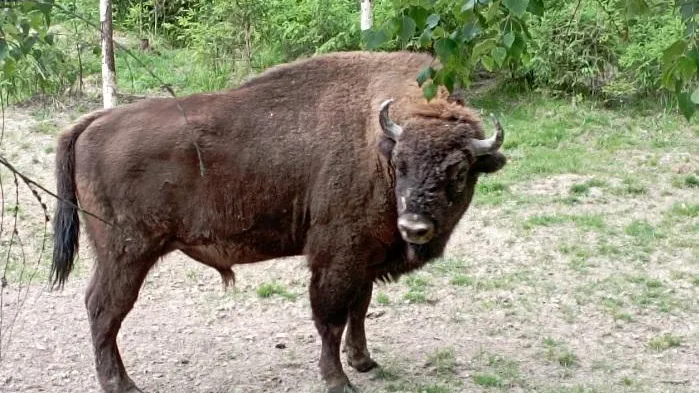 фото: соцсети