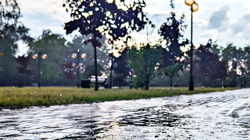 Фото: REGIONS/Алексей Селиверстов