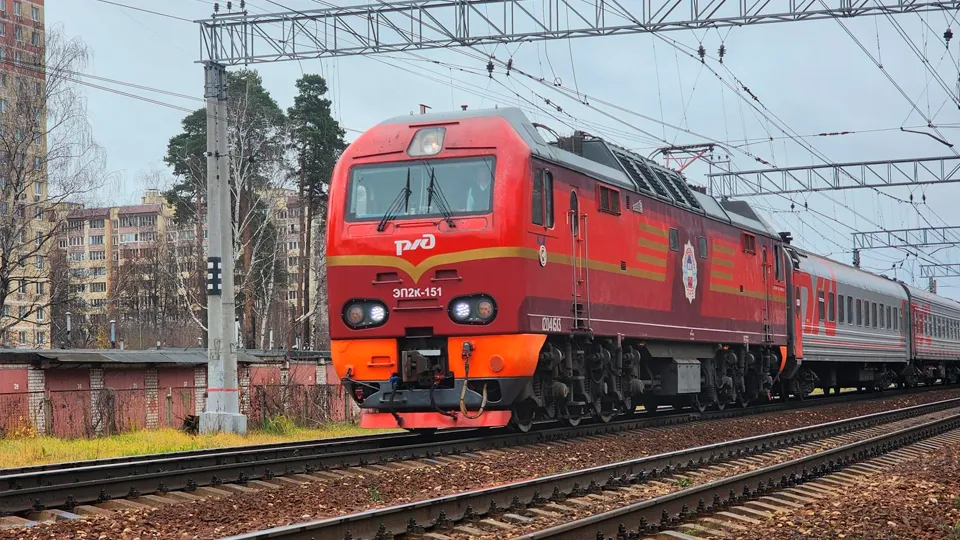 Фото: МедиаБанк Подмосковья/Роман Савельев