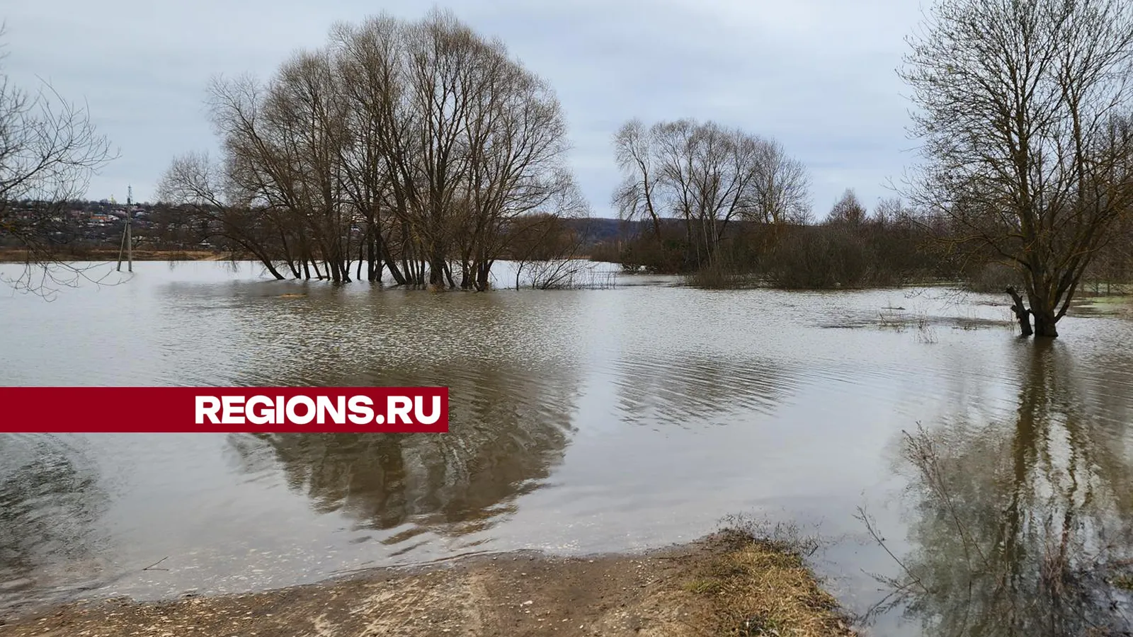 Фото: Андрей Семибратов