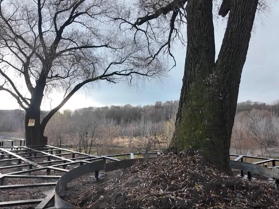 Фото: Раменский медиацентр