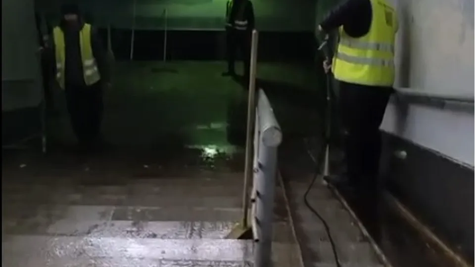 фото: скан телеграм-канала Малаховка