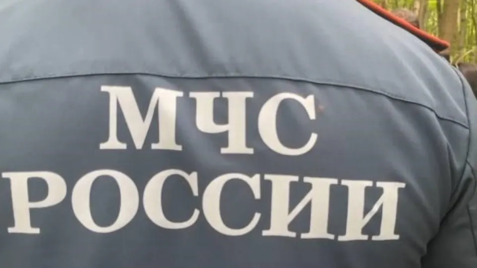 Фото: Мария Даньшина