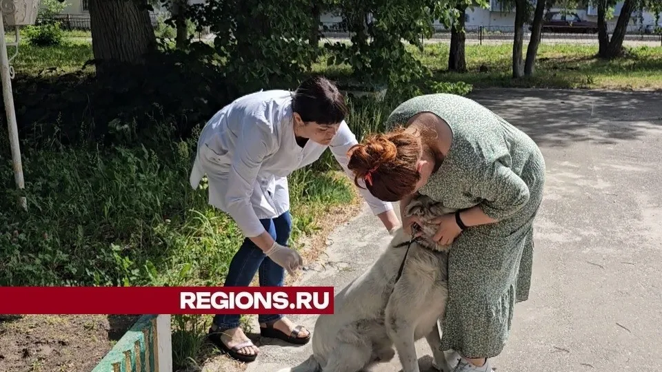 Фото: REGIONS/Александр Дрожжин