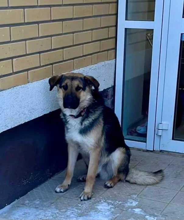 Фото: личный архив Натальи