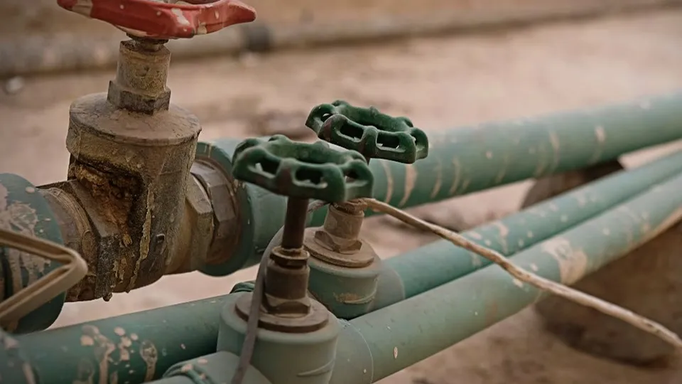 Фото: unsplash.com