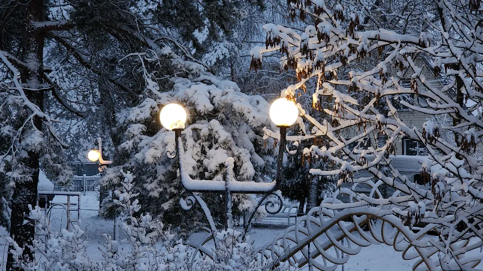 Фото: МедиаБанк Подмосковья/Екатерина Данилина