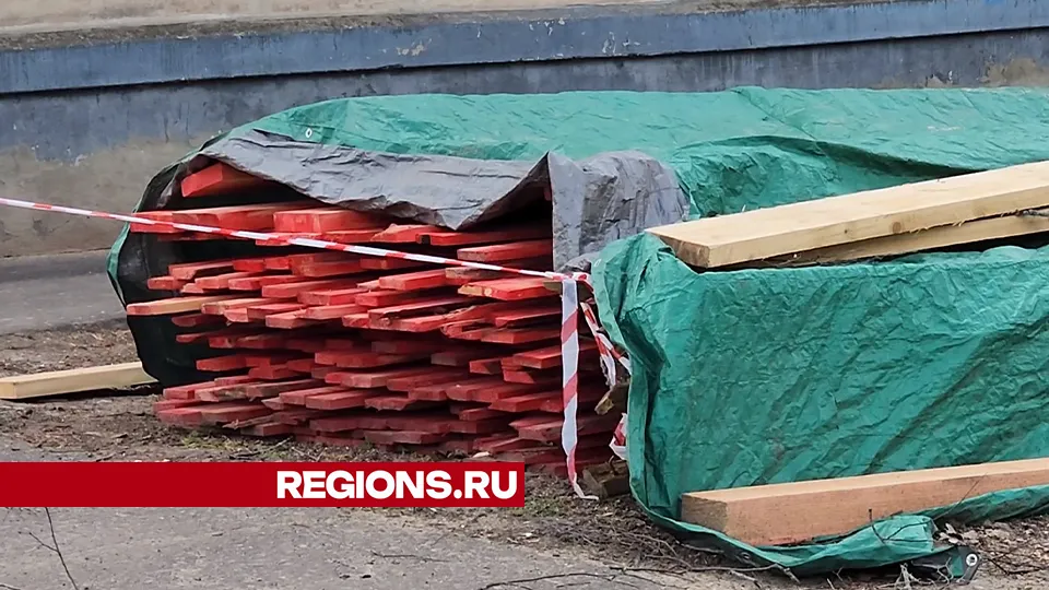 Фото: Марина Анисимова