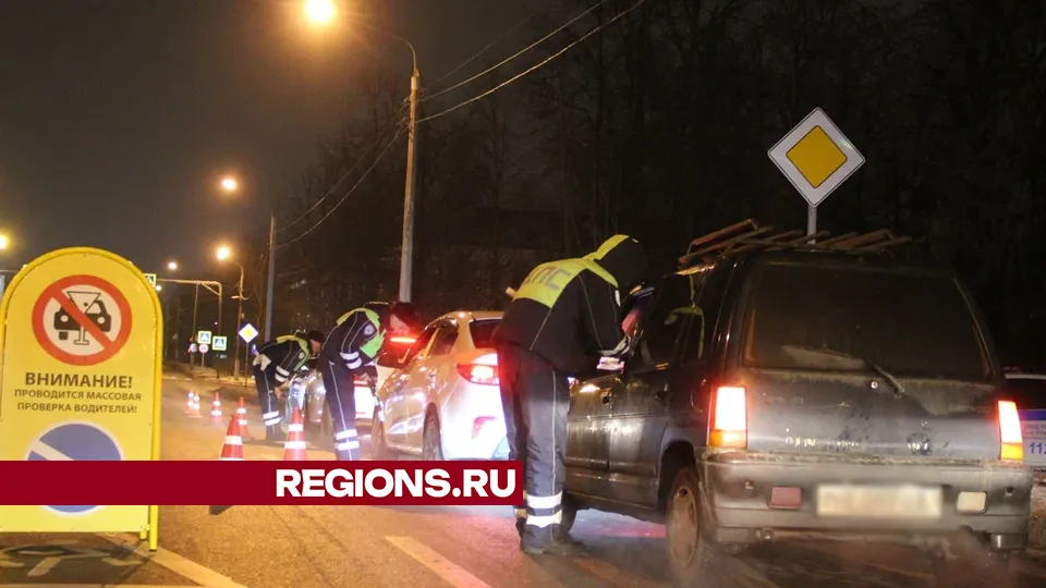 Фото: REGIONS/Василий Тремасов