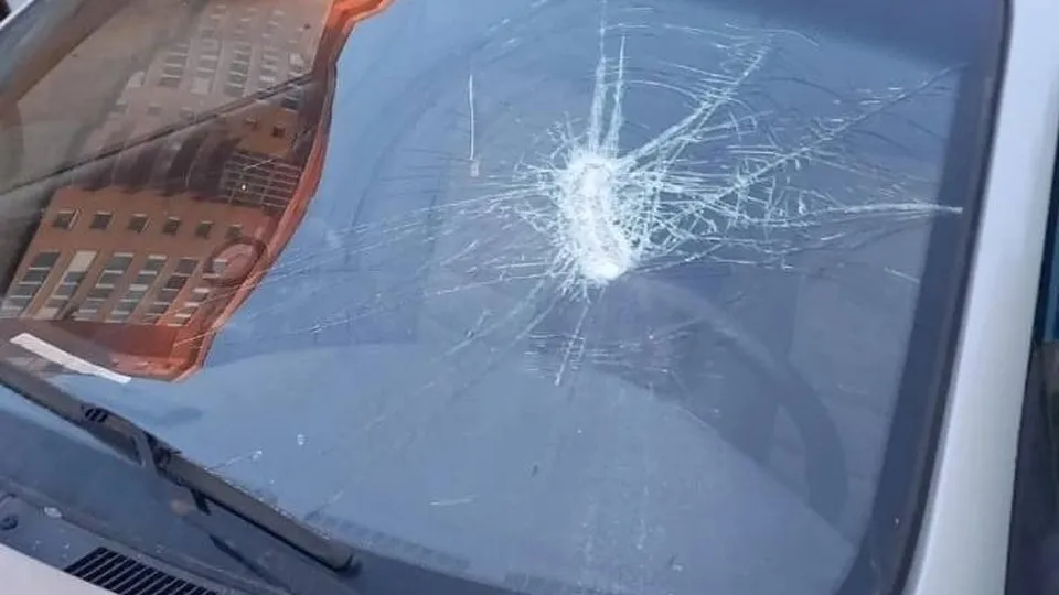 Фото: t.me/tv360odincovo