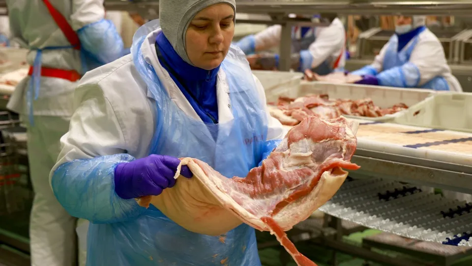 Фото: ТАСС/Фадеичев Сергей