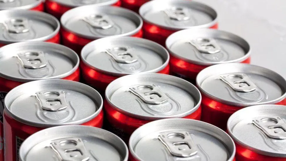 Фото: ТГ-канал Вести Московского региона