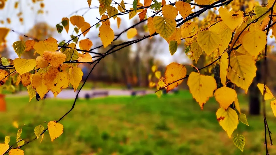 Фото: REGIONS/Алексей Селиверстов