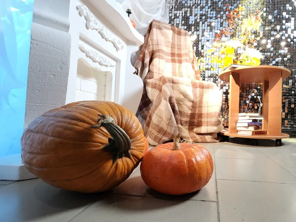 Фото: МедиаБанк Подмосковья/Анна Мороз