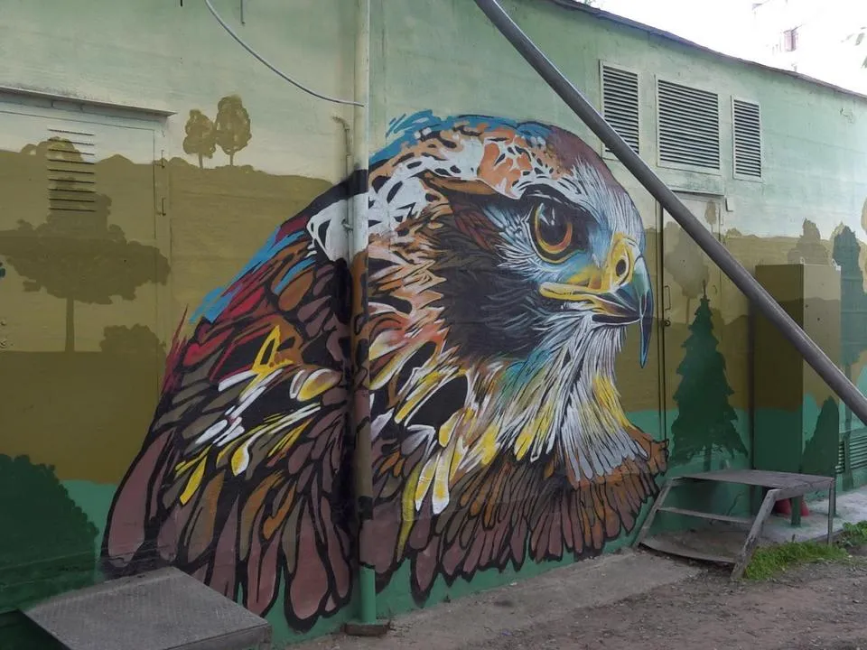 Фото: Пресс-служба администрации городского округа Мытищи