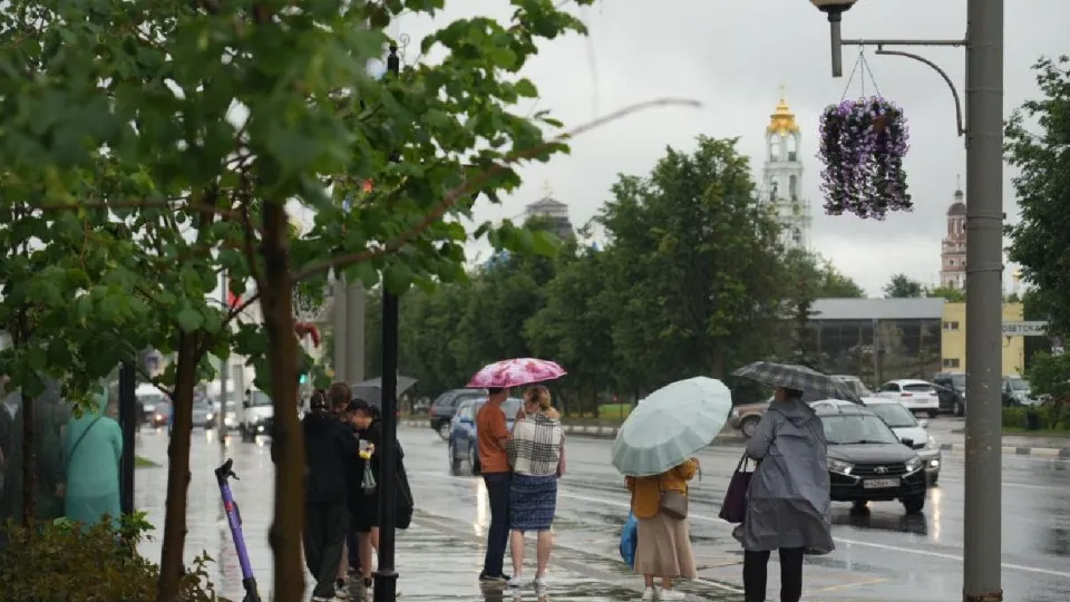 Фото: МедиаБанк Подмосковья/Дмитрий Зайчиков
