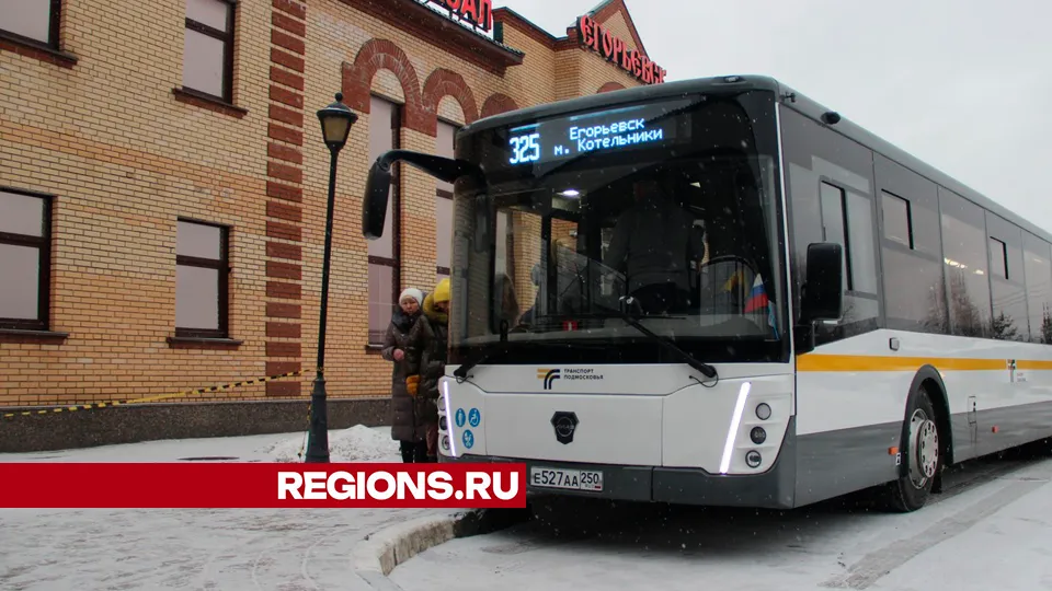 Фото: REGIONS/Василий Тремасов