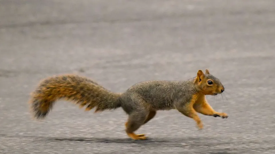 Фото: istockphoto.com