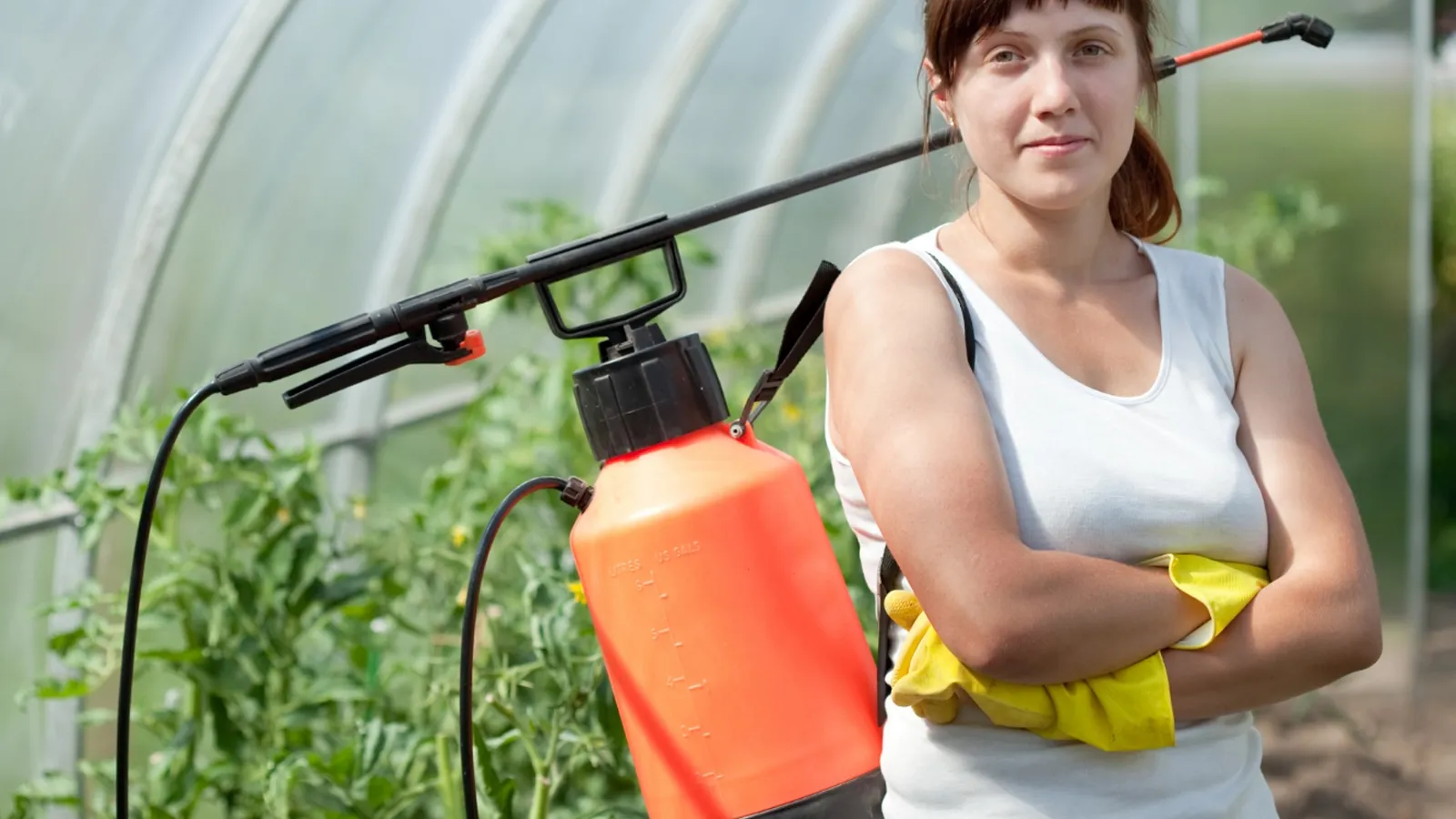 Фото: freepik.com