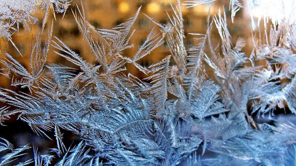 Фото: Pixabay.com