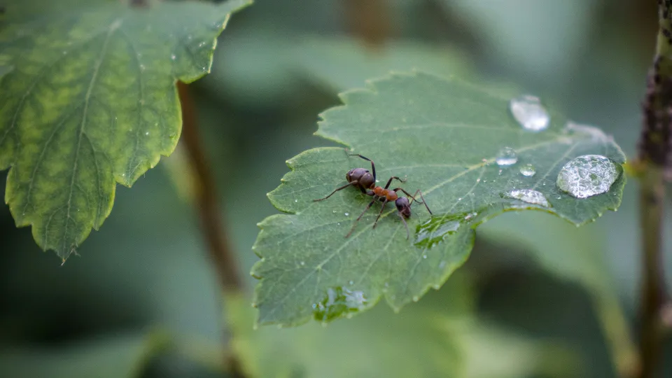 Фото: unsplash.com