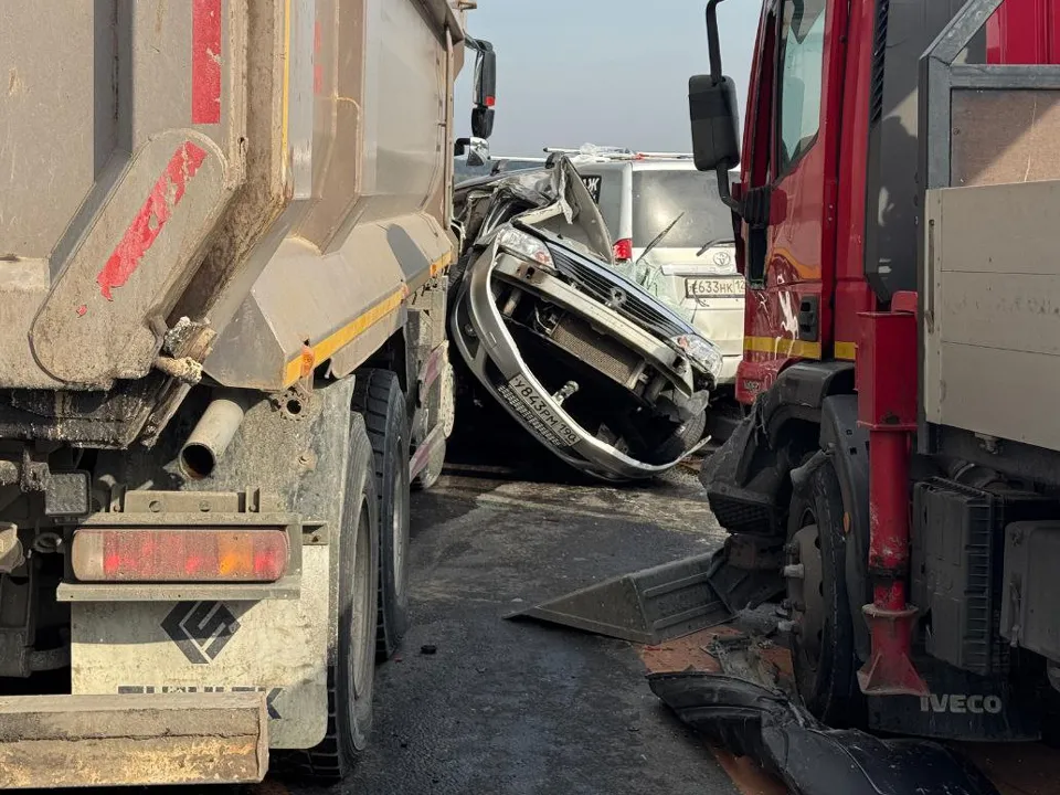 Фото: пресс-служба прокуратуры Московской области&nbsp;