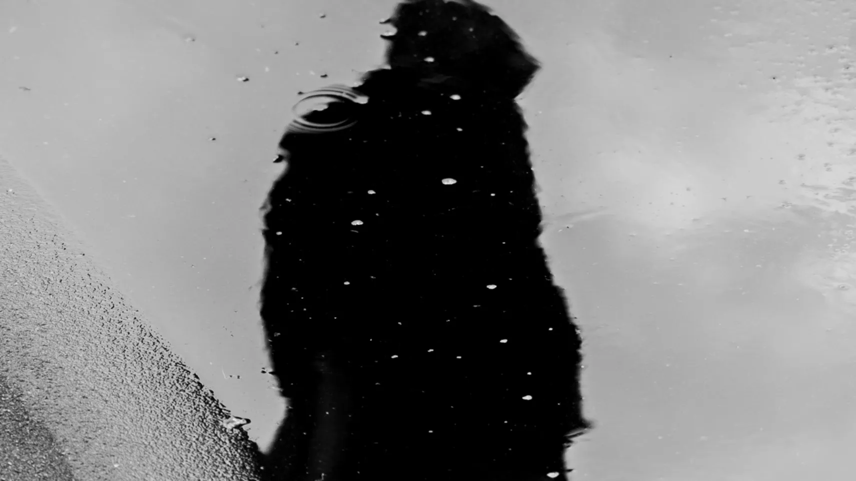 Фото: pxhere.com