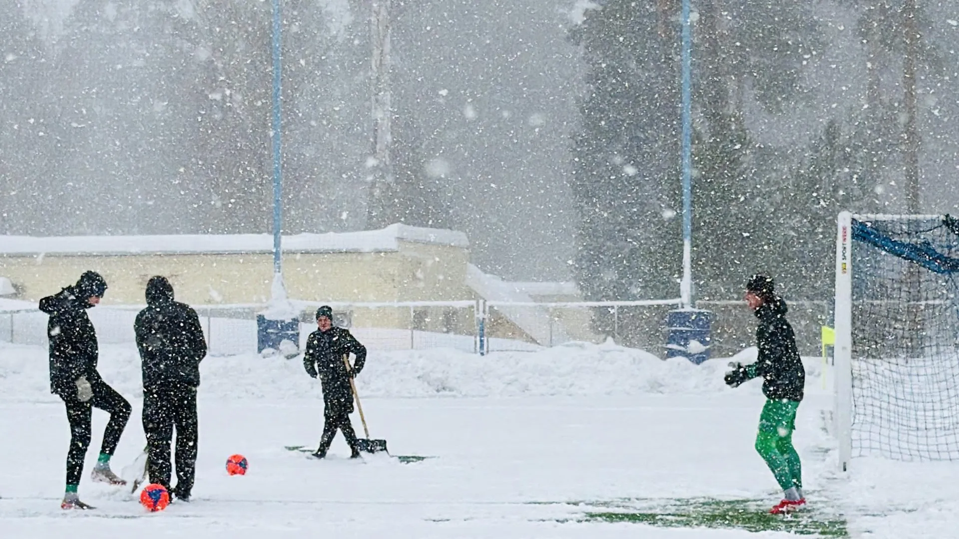 МедиаБанк Подмосковья/Ольга Стаферова