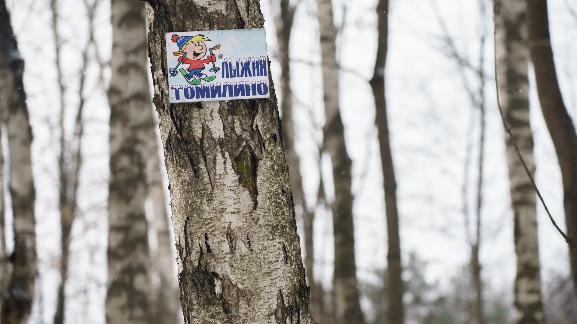 медиасток.рф