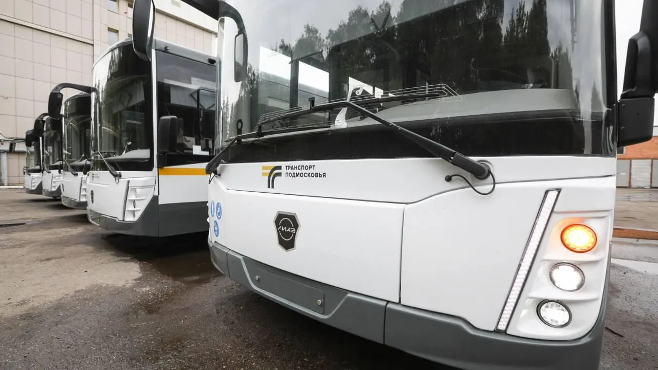 Жителям Подмосковья назвали автобусные маршруты, которые следуют до грибных мест