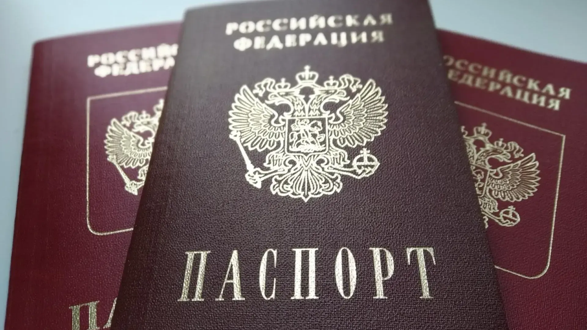 Фото: Татьяна Синельникова